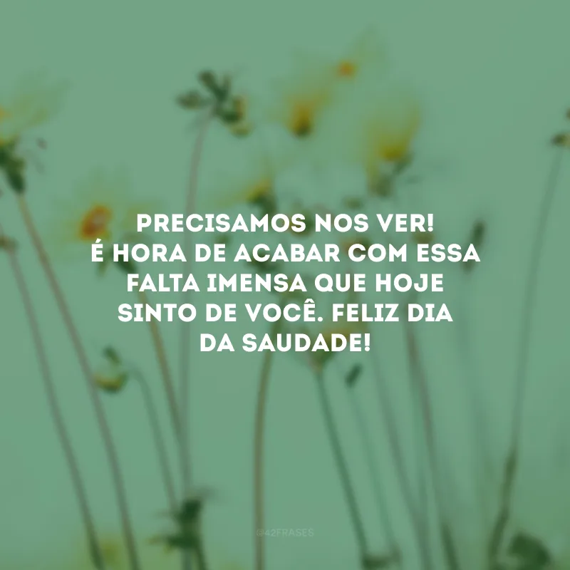 Precisamos nos ver! É hora de acabar com essa falta imensa que hoje sinto de você. Feliz Dia da Saudade!