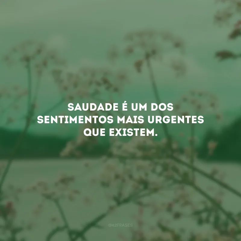 Saudade é um dos sentimentos mais urgentes que existem.