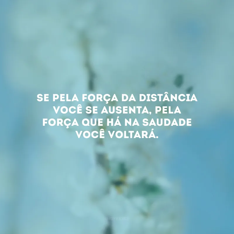 Se pela força da distância você se ausenta, pela força que há na saudade você voltará.