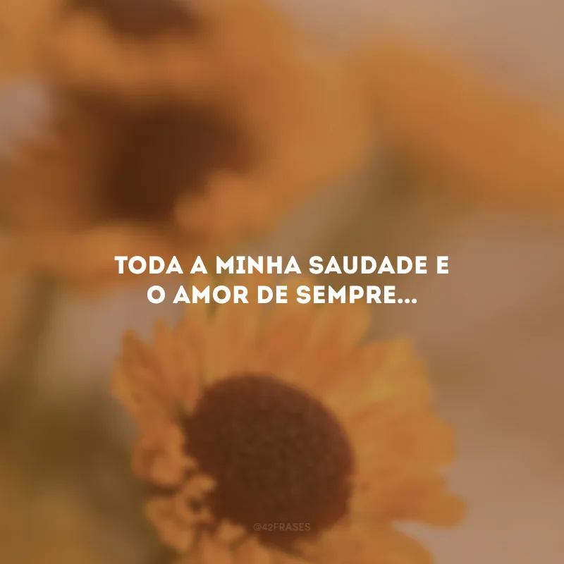 Toda a minha saudade e o amor de sempre...