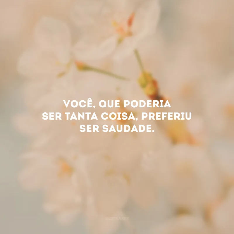 Você, que poderia ser tanta coisa, preferiu ser saudade.