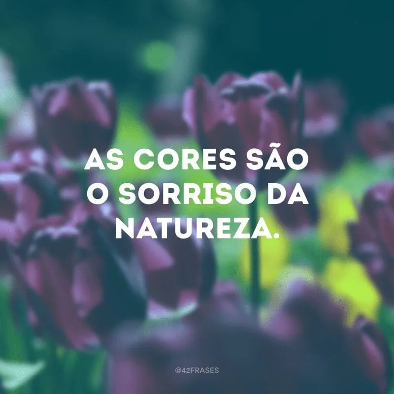 As cores são o sorriso da natureza.