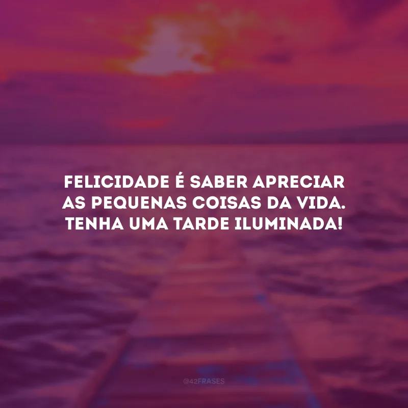 Felicidade é saber apreciar as pequenas coisas da vida. Tenha uma tarde iluminada!