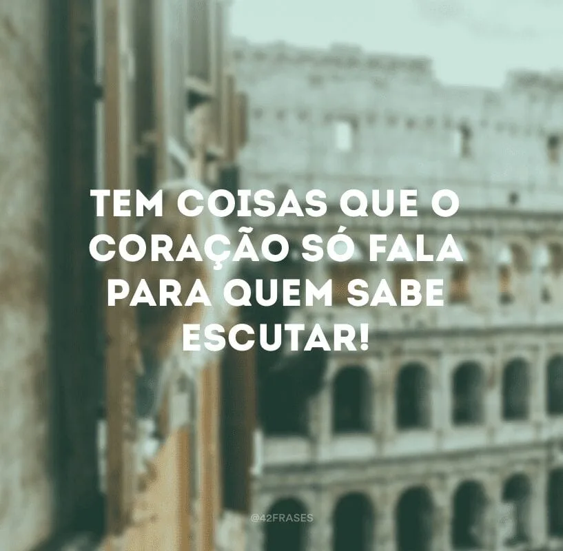 A sabedoria superior tolera, a inferior julga; a superior perdoa, a inferior condena. Tem coisas que o coração só fala para quem sabe escutar!