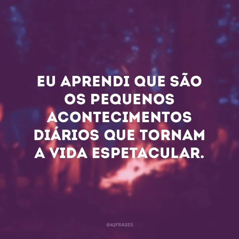 Eu aprendi que são os pequenos acontecimentos diários que tornam a vida espetacular.