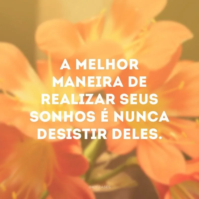 A melhor maneira de realizar seus sonhos é nunca desistir deles.