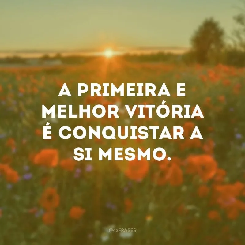 A primeira e melhor vitória é conquistar a si mesmo.