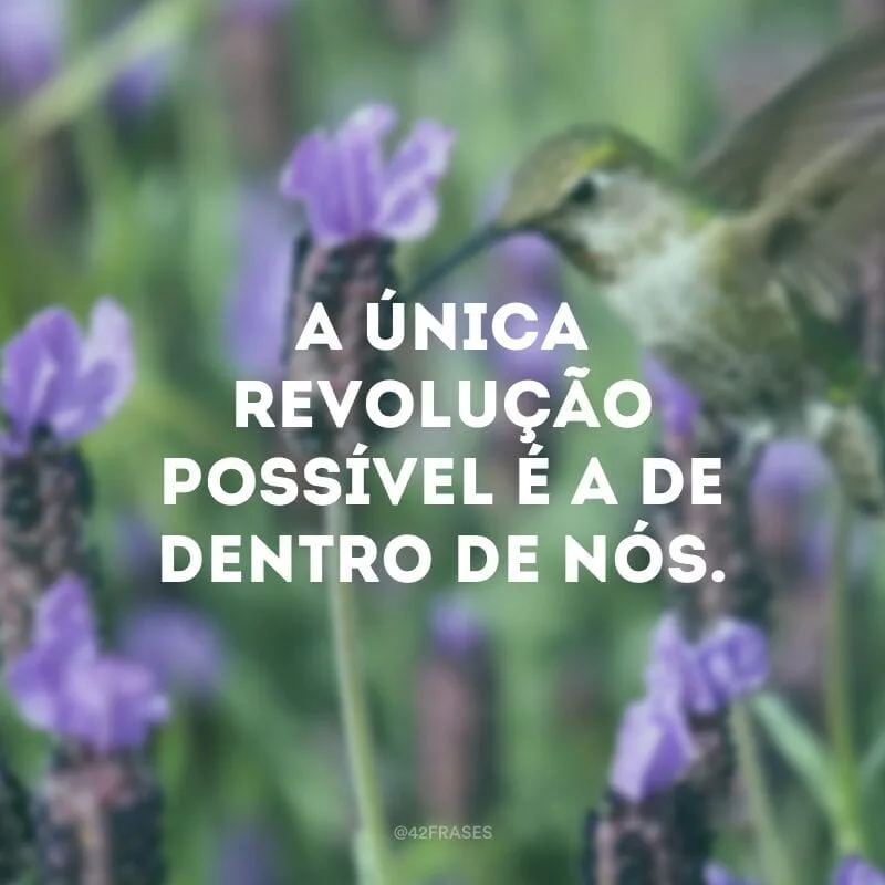 A única revolução possível é a de dentro de nós.