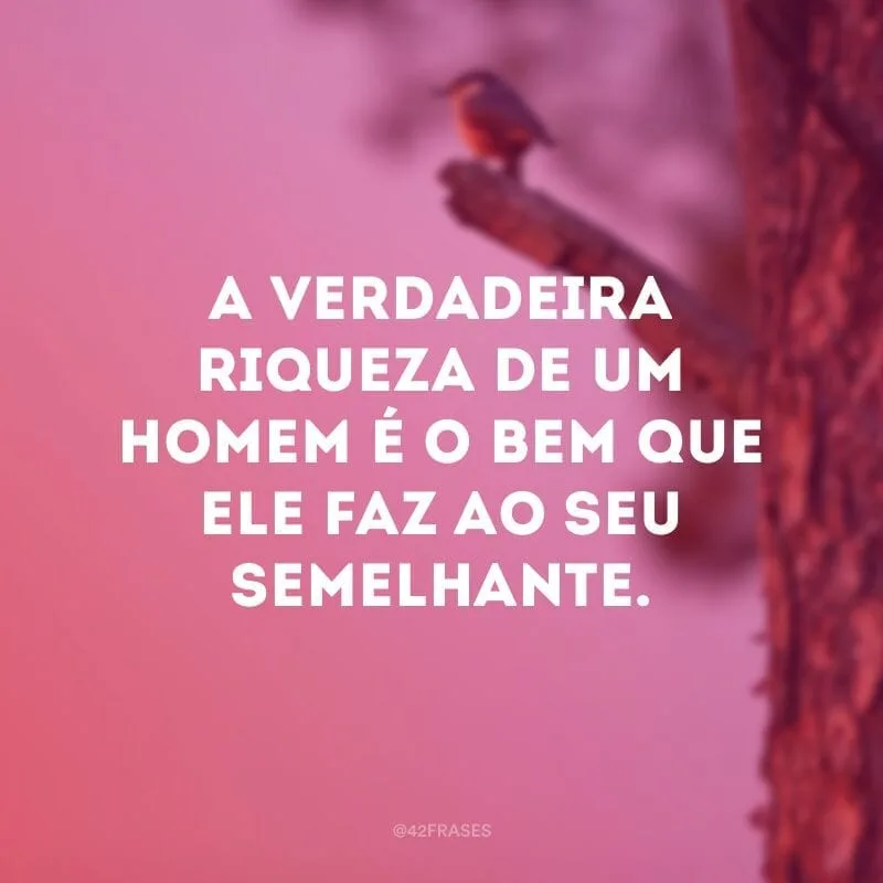 A verdadeira riqueza de um homem é o bem que ele faz ao seu semelhante.