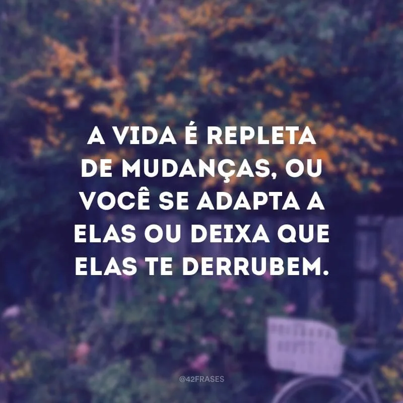 A vida é repleta de mudanças, ou você se adapta a elas ou deixa que elas te derrubem.