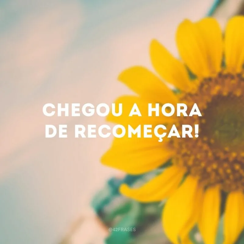 Chegou a hora de recomeçar!