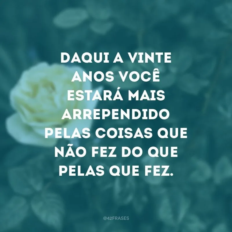 Daqui a vinte anos você estará mais arrependido pelas coisas que não fez do que pelas que fez. Então solte suas amarras. Afaste-se do porto seguro. Agarre o vento em suas velas. Explore. Sonhe. Descubra. 