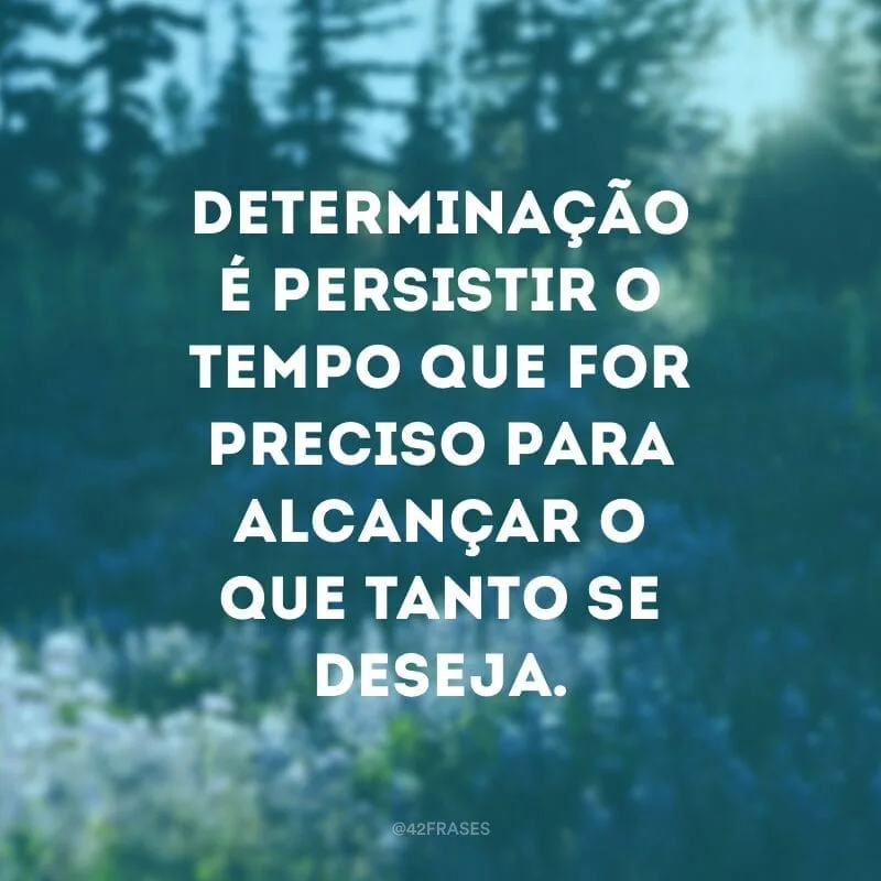 Determinação é persistir o tempo que for preciso para alcançar o que tanto se deseja.
