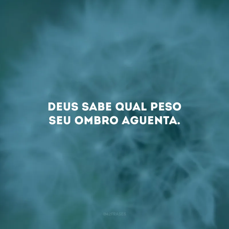 Deus sabe qual peso seu ombro aguenta. 