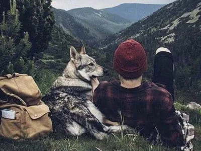 40 frases sábias que vão te fazer pensar e se inspirar