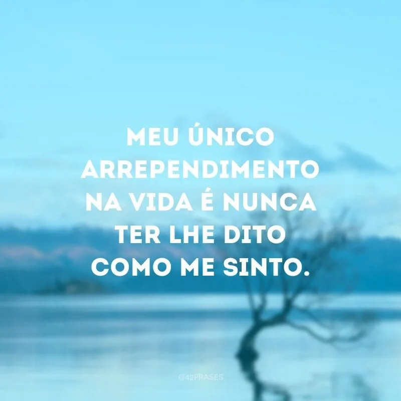 Meu único arrependimento na vida é nunca ter lhe dito como me sinto.