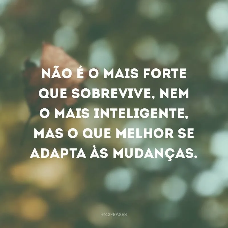 Não é o mais forte que sobrevive, nem o mais inteligente, mas o que melhor se adapta às mudanças.