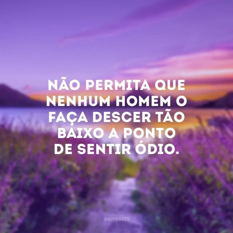 Não permita que nenhum homem o faça descer tão baixo a ponto de sentir ódio.