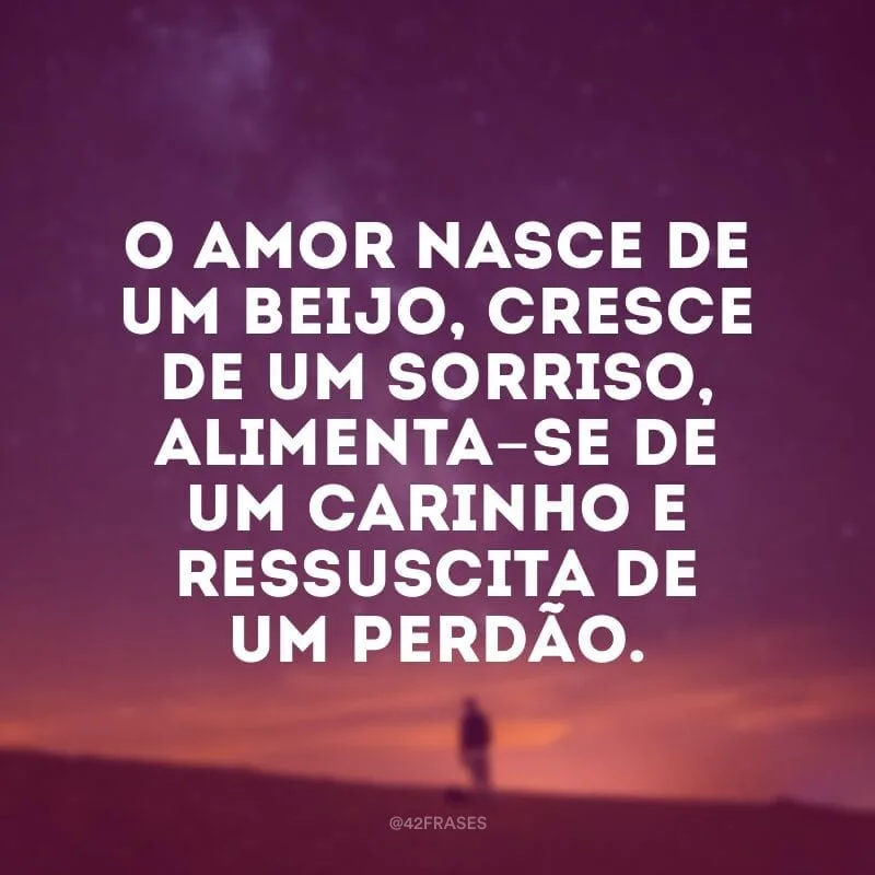 O amor nasce de um beijo, cresce de um sorriso, alimenta-se de um carinho e ressuscita de um perdão.