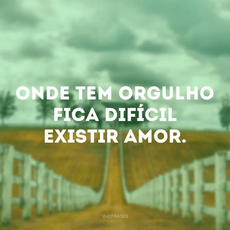 Onde tem orgulho fica difícil existir amor.