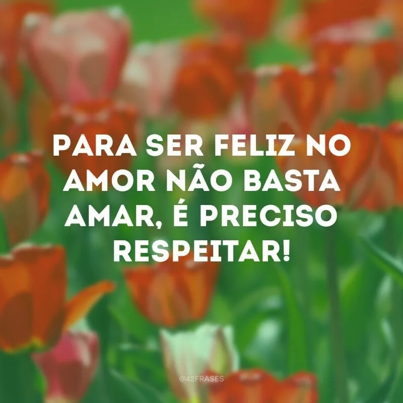 Para ser feliz no amor não basta amar, é preciso respeitar!