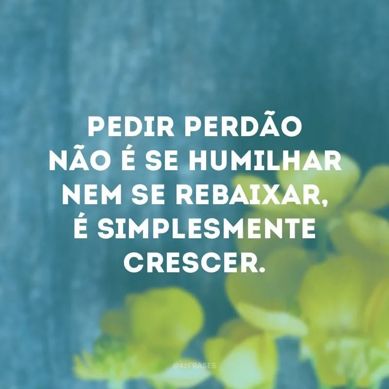 Pedir perdão não é se humilhar nem se rebaixar, é simplesmente crescer.