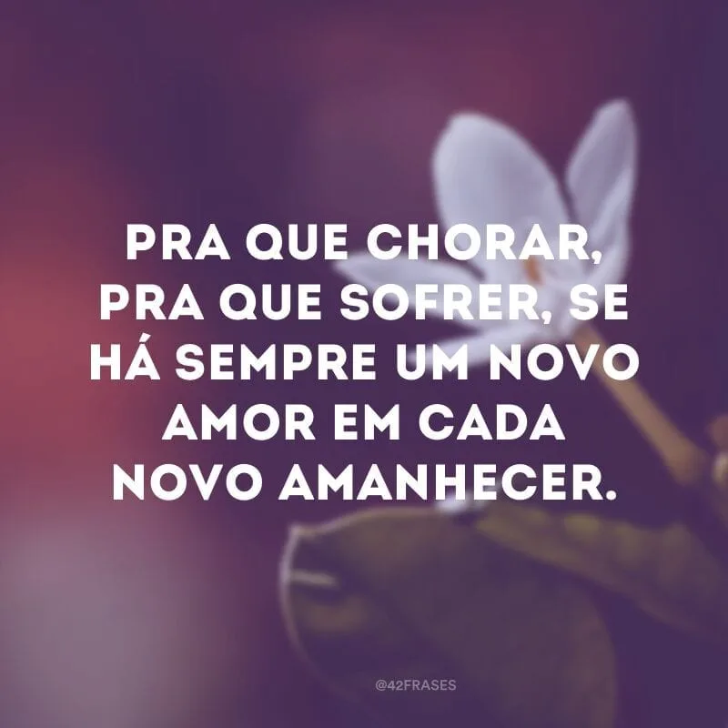 Pra que chorar, pra que sofrer, se há sempre um novo amor em cada novo amanhecer.