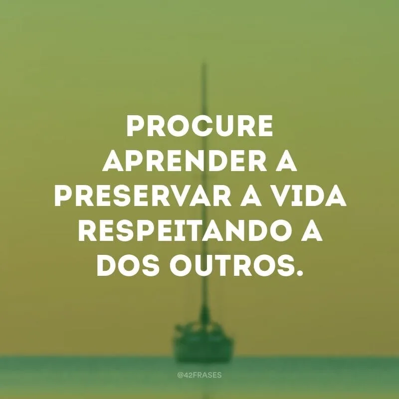 Procure aprender a preservar a vida respeitando a dos outros.