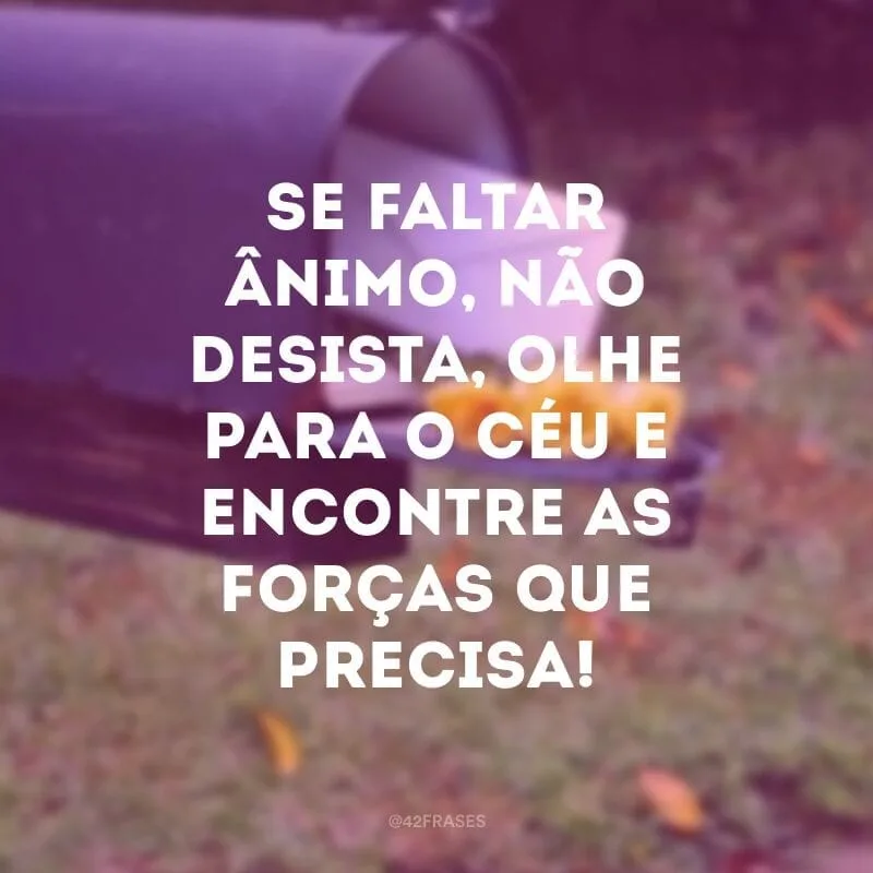 Se faltar ânimo, não desista, olhe para o céu e encontre as forças que precisa!