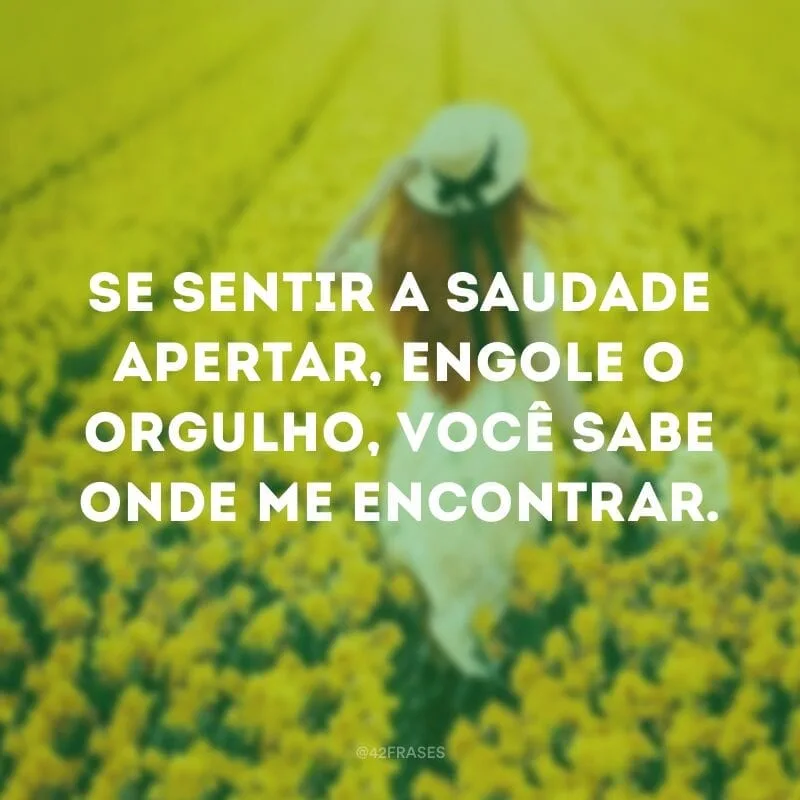 Se sentir a saudade apertar, engole o orgulho, você sabe onde me encontrar.