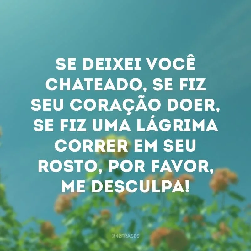 Se deixei você chateado, se fiz seu coração doer, se fiz uma lágrima correr em seu rosto, por favor, me desculpa!