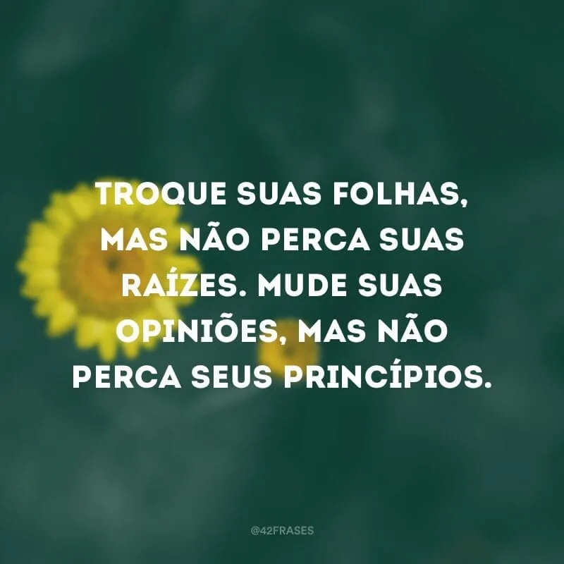 Troque suas folhas, mas não perca suas raízes. Mude suas opiniões, mas não perca seus princípios.