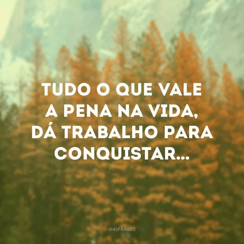 Tudo o que vale a pena na vida, dá trabalho para conquistar…