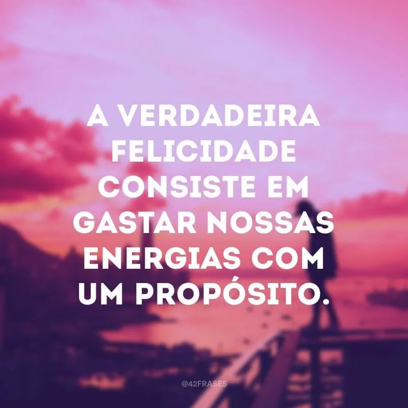 A verdadeira felicidade consiste em gastar nossas energias com um propósito.