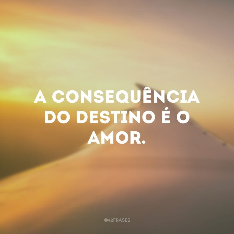 A consequência do destino é o amor.