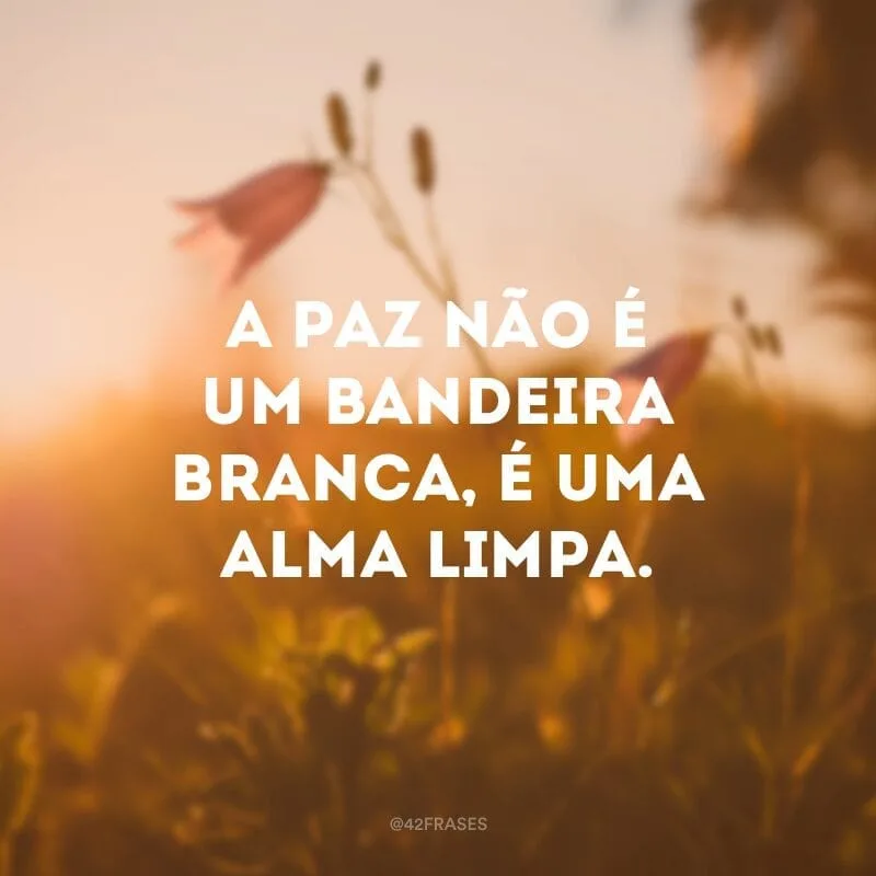 A paz não é um bandeira branca, é uma alma limpa.