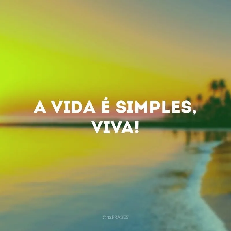 A vida é simples, viva!