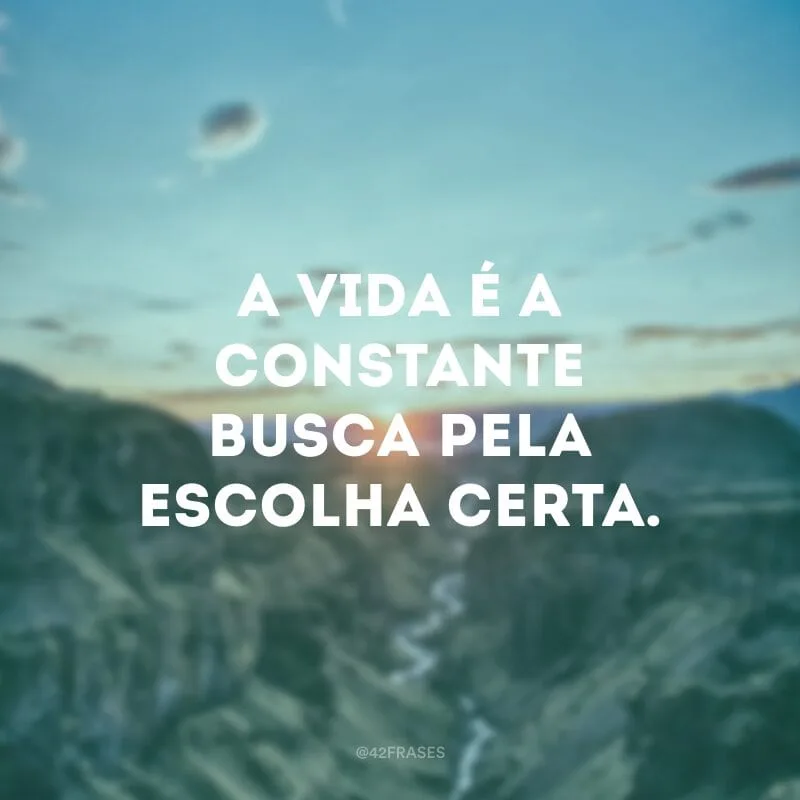 A vida é a constante busca pela escolha certa.