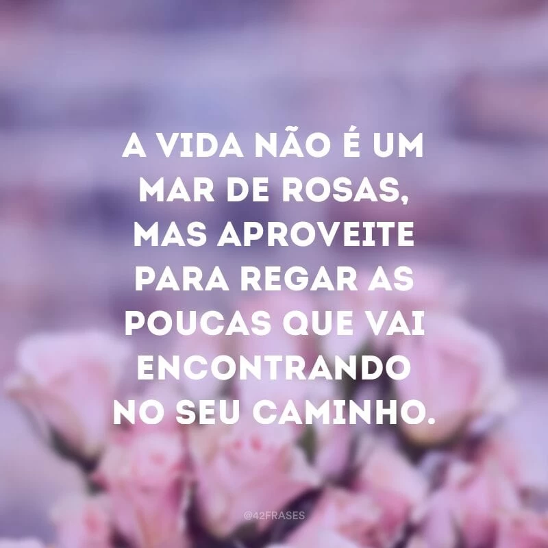 A vida não é um mar de rosas, mas aproveite para regar as poucas que vai encontrando no seu caminho.