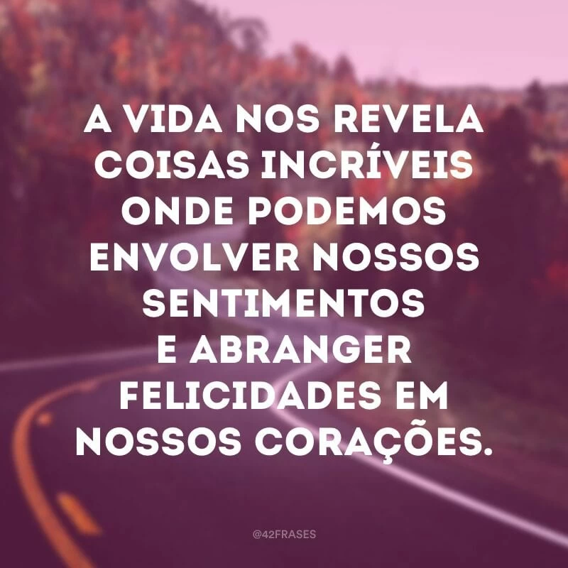 A vida nos revela coisas incríveis onde podemos envolver nossos sentimentos e abranger felicidades em nossos corações.