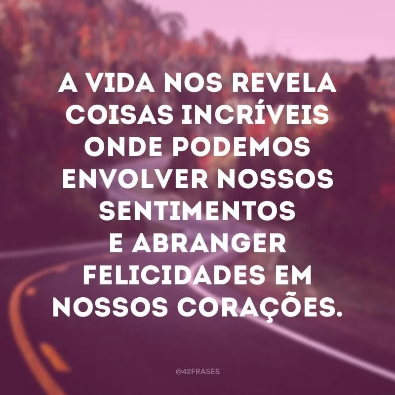 A vida nos revela coisas incríveis onde podemos envolver nossos sentimentos e abranger felicidades em nossos corações.