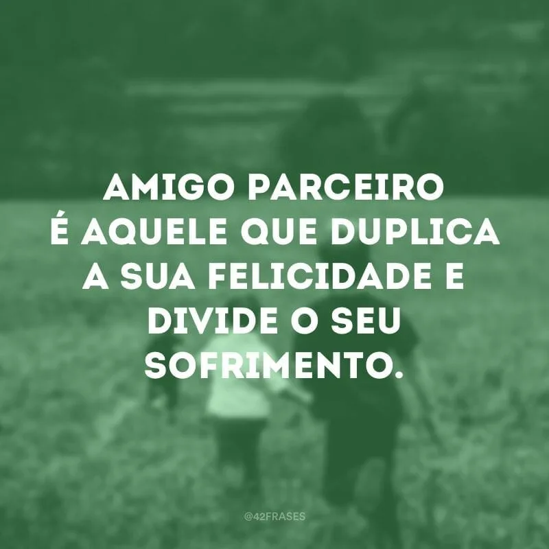 Amigo parceiro é aquele que duplica a sua felicidade e divide o seu sofrimento.