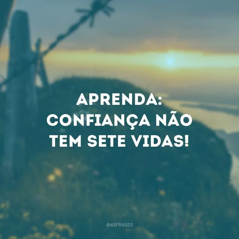 Aprenda: confiança não tem sete vidas!