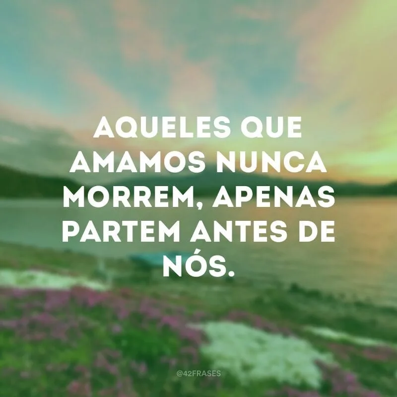 Aqueles que amamos nunca morrem, apenas partem antes de nós.