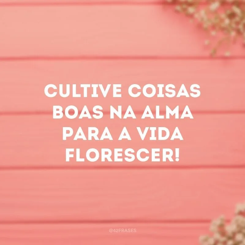 Cultive coisas boas na alma para a vida florescer!