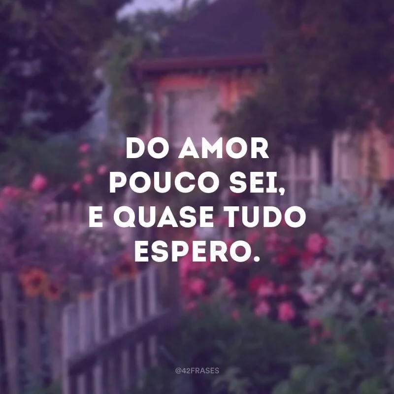 Do amor pouco sei, e quase tudo espero.