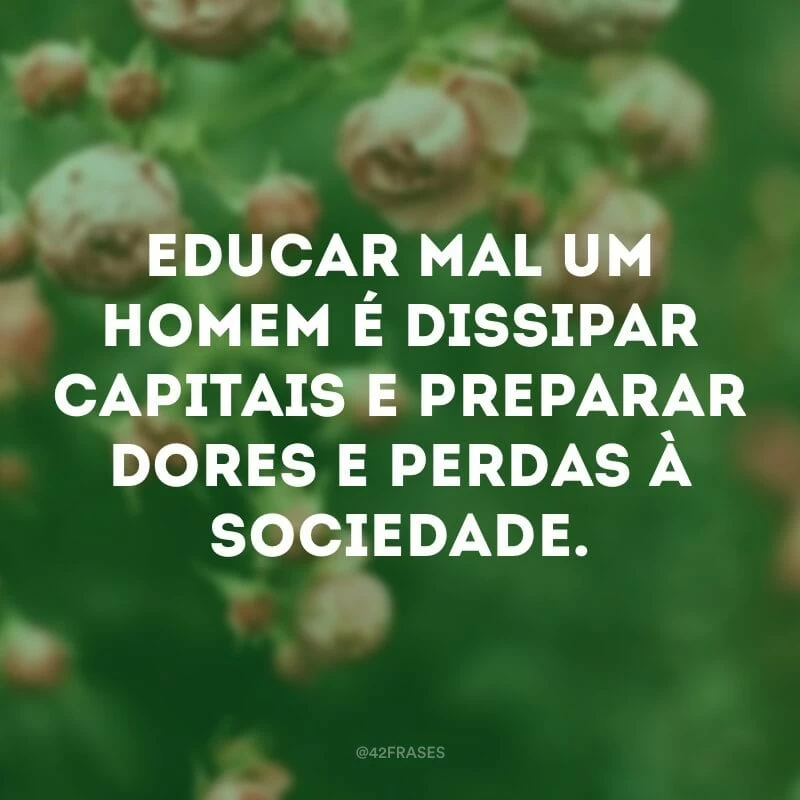 Educar mal um homem é dissipar capitais e preparar dores e perdas à sociedade.