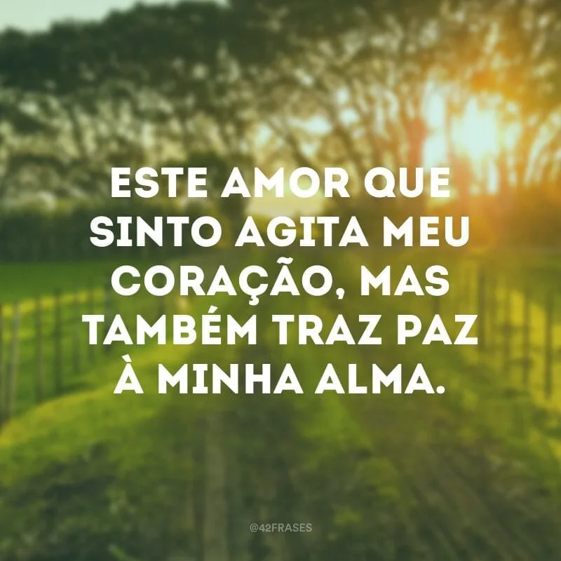 Este amor que sinto agita meu coração, mas também traz paz à minha alma.