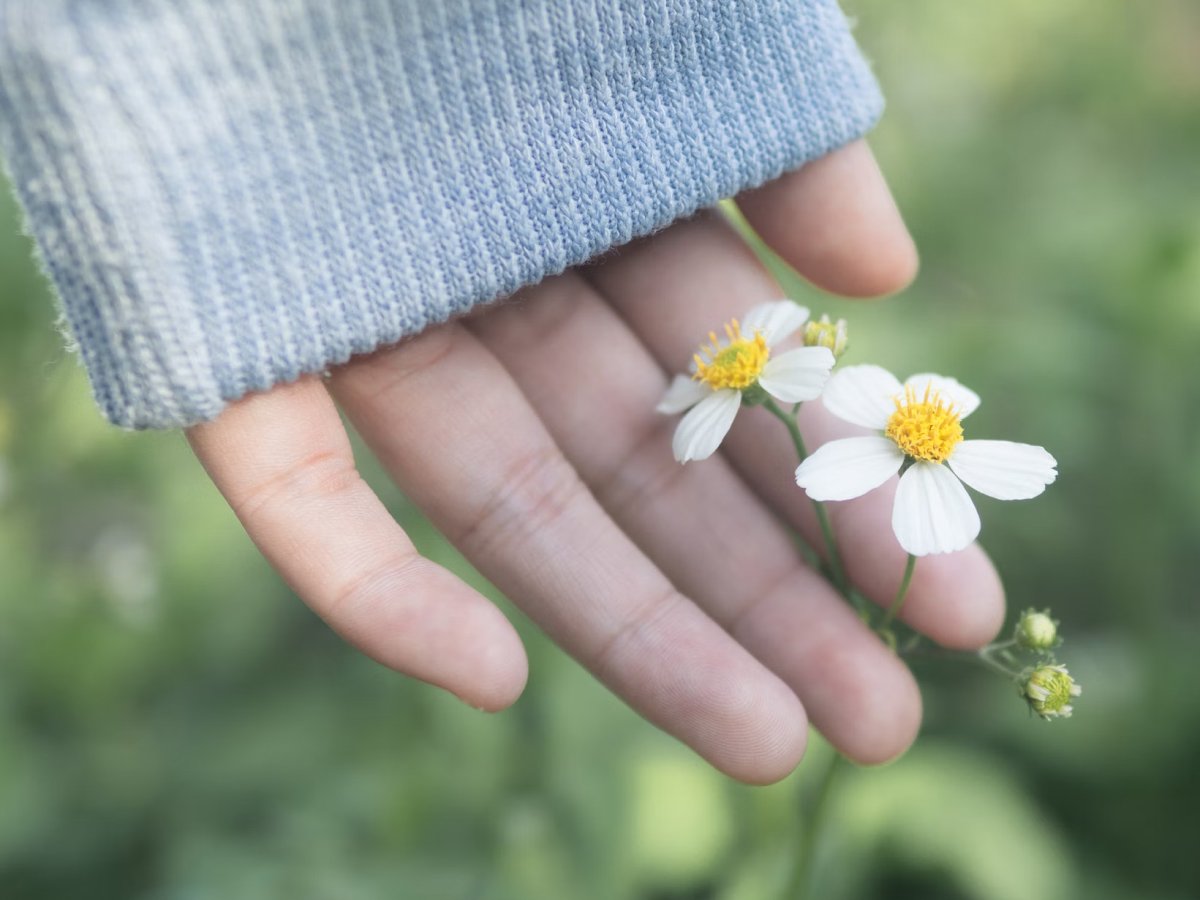 70 frases de gratidão para plantar e colher felicidades