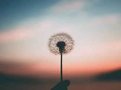 49 frases de simplicidade para valorizar as pequenas coisas do seu dia